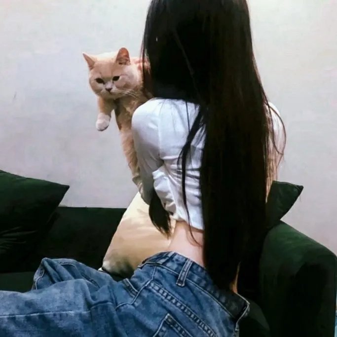 同途她是他