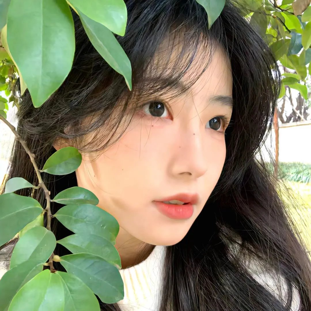 女猫