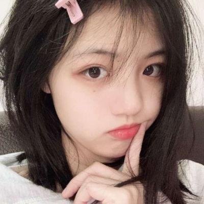方案